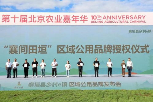 襄間田垣·品牌啟航 襄垣魅力在京彩綻放中的數字篇章